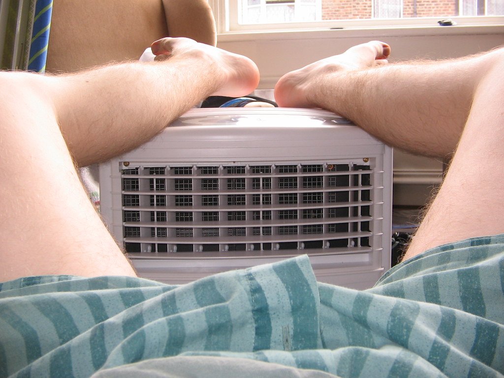 Air Coolers