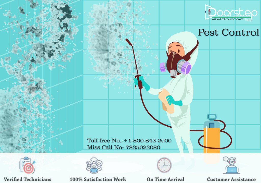 Cockroach Control