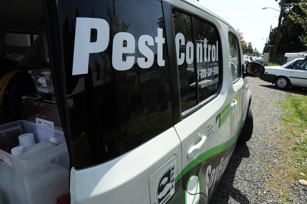 Commercial Pest Control