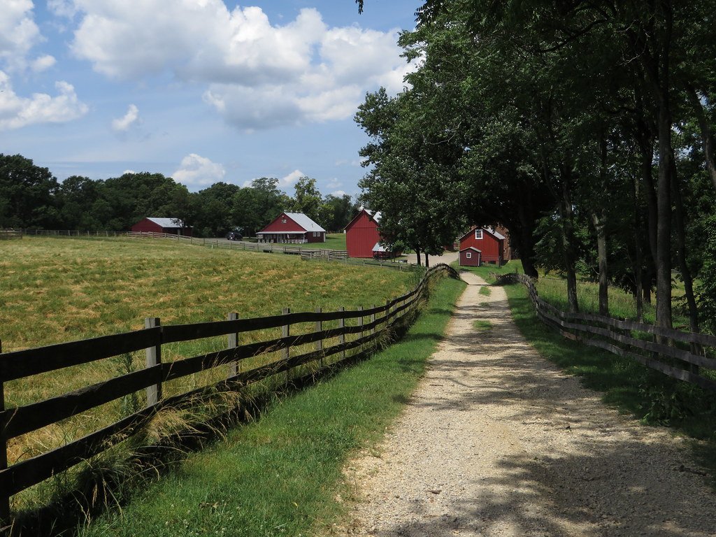 Dairy & Livestock Equipment