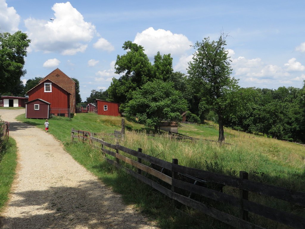 Dairy & Livestock Equipment