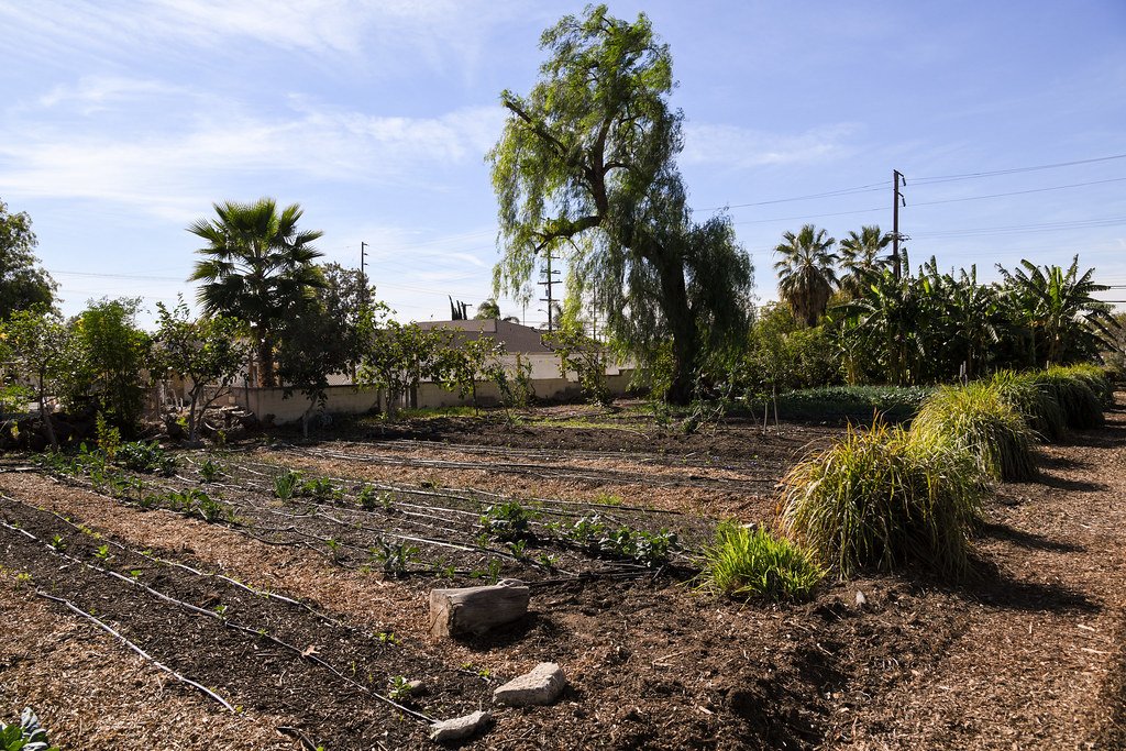 Fertilizers & Crop Nutrition