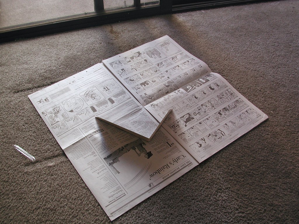 Floor Cleaning