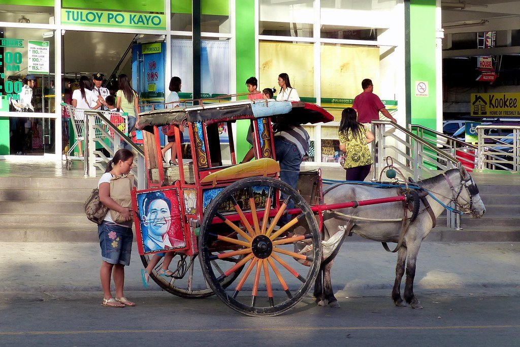 Local Transport
