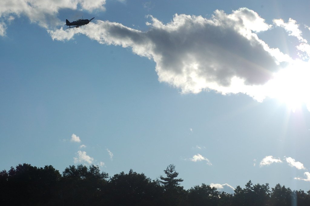 Mosquito Control