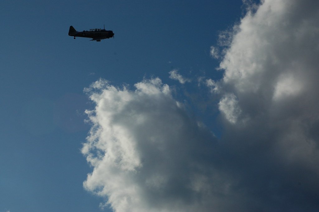 Mosquito Control