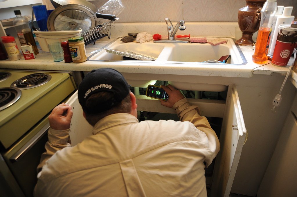 Pest Control Customer Enquiry
