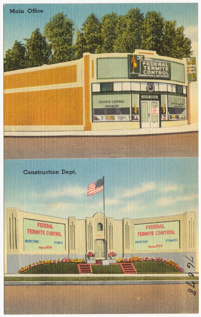 Termite Control