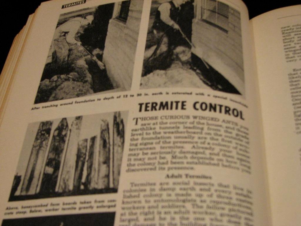 Termite Control